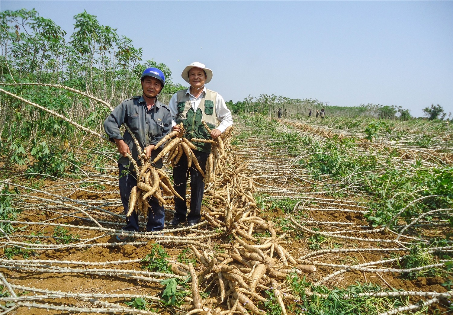 Đang mua của Việt Nam 2 triệu tấn nông sản này, Trung Quốc đột ...
