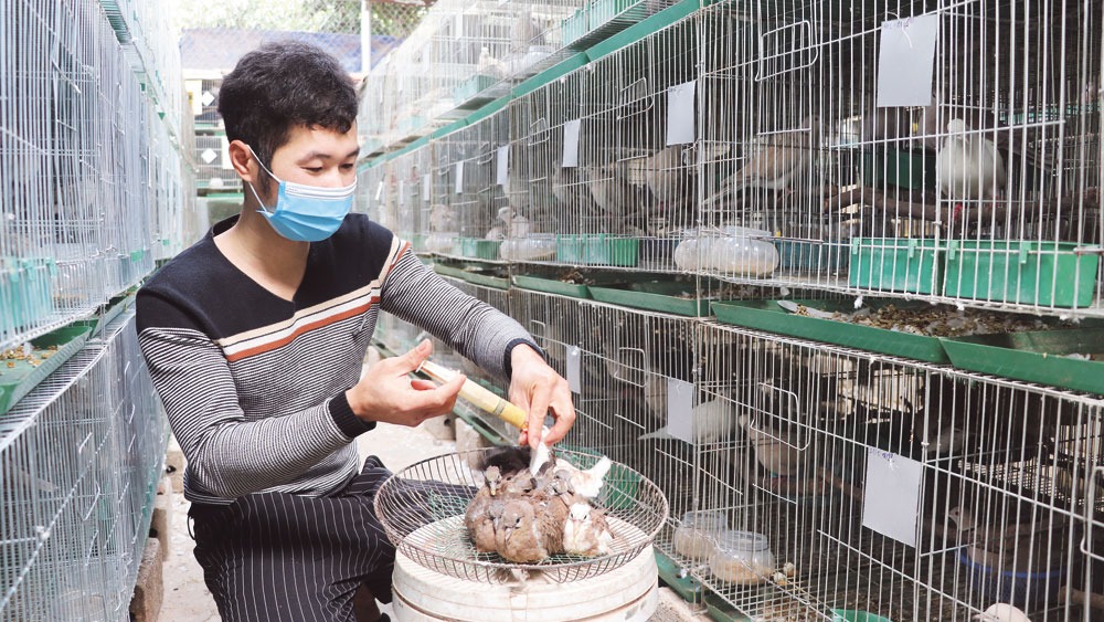 Cóng đựng thức ăn cho chim cu gáy - Mây tre đan truyền thống | Facebook