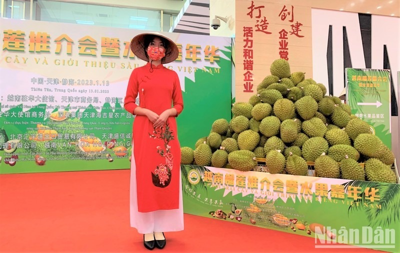 Thêm 47 vùng trồng sầu riêng đạt tiêu chuẩn xuất khẩu sang Trung Quốc