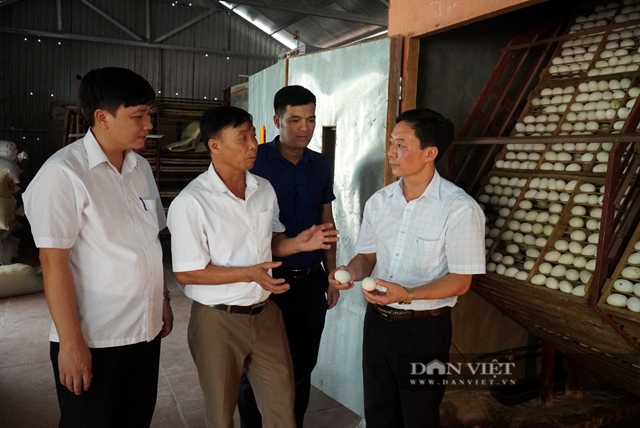 Ông Lã Văn Đoàn, Phó Chủ tịch Thường trực Hội Nông dân tỉnh Bắc Giang (ngoài cùng bên phải) ấn tượng với mô hình nuôi vịt của ông Nguyễn Văn Mùi (thứ 3 từ phải sang) - người đã bán 1,5 vạn quả trứng mỗi ngày cho Công ty Samsung Việt Nam