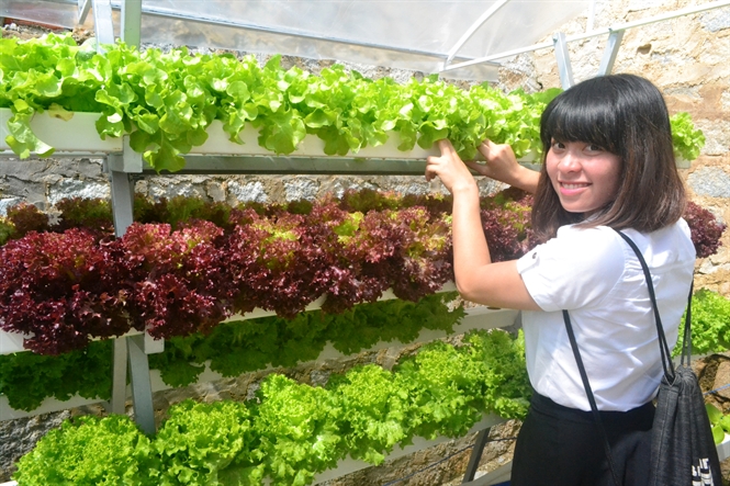 Lâm Đồng: Nông nghiệp thúc đẩy du lịch phát triển