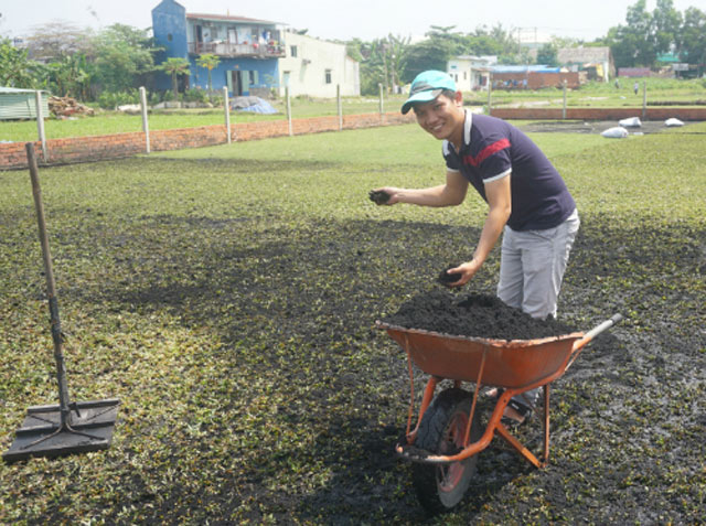 Võ Thành Ngân chăm sóc vườn cỏ tại Hóc Môn