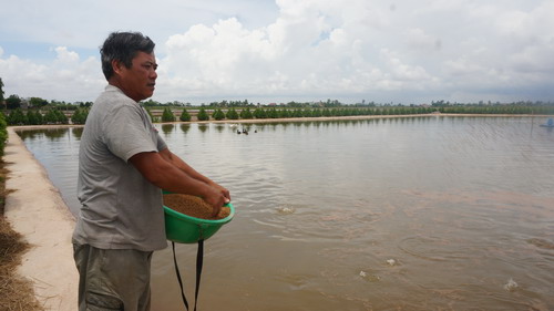 Ông Nhượng đang cho cá ăn