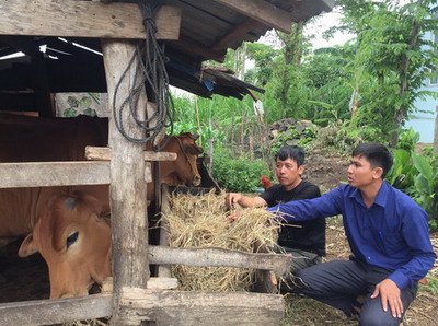 Ông Già Sìa Pó là một trong những hộ điển hình của xã trong quá trình vươn lên làm giàu từ chăn nuôi